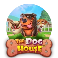 The Dog House — SpinCrush Casino